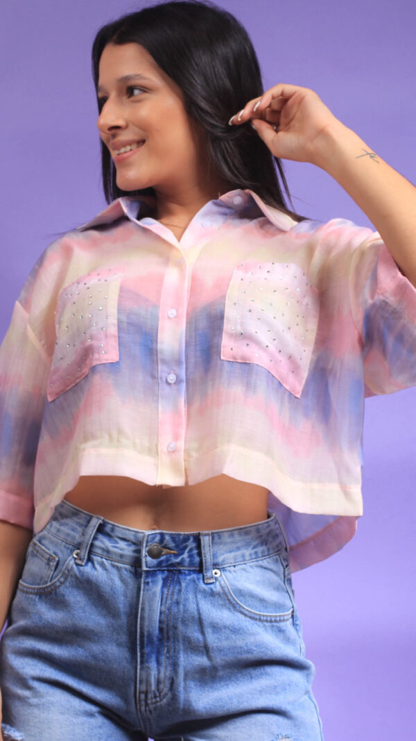 Blusa